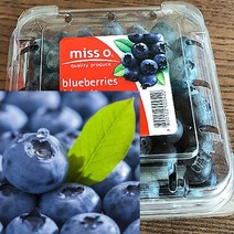 칠레 생 블루베리 생과 미국산 국산 생 블루베리 125g, 12팩, 12개