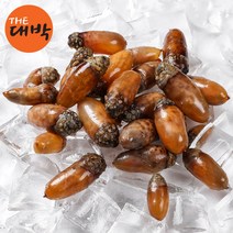 제철 미더덕 횟감용 마산 진동 참미더덕 오만둥이, 1box, 참미더덕 1kg
