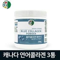 캐나다 저분자 피쉬콜라겐 가루 먹는 어류콜라겐 분말 100프로 수용성 생선콜라겐 트리 펩타이드 연어 명태 피시콜라겐 가수분해 파우더 히알루론산 100% 연어추출 블루 콜라겐 고함량 효능, howoon_ 3개, .