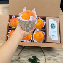 [당도선별] 고당도 황도 복숭아 로얄과, 최고급 황도 복숭아 1.8kg 대과 (6과내외) 선물용, 1개