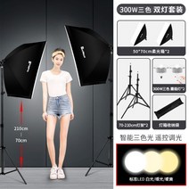 자연광 조명 방송용 촬영 소품 제작 사진 동영상 장비 유트브 스튜디오 반영구, 개, 듀얼 300W 삼색리모컨 케이스 2.1m