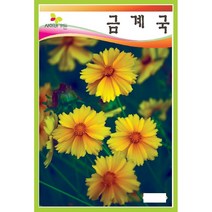 야생화씨앗] 금계국 2g