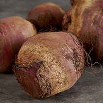 산세로 무농약 비트 1kg, 없음