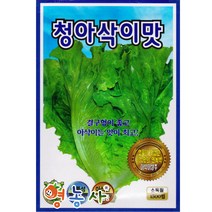 청아삭이 맛상추씨앗 1500립, 단품