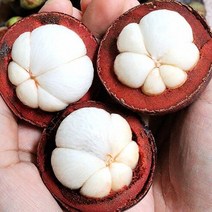 망고스틴 500g-2kg 태국 생망고스틴 항공직송, 500g
