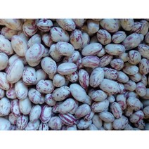 국내산 햇 생 (깐콩)호랑이콩 약2kg, 1개