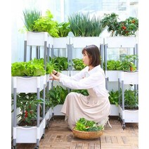 다단식 야채 화분 특수 선반 옥상 발코니 실내 정원, D202 3단 A형