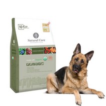 네츄럴코어 ECO 10 채식주의 베지테리언 1kg 개 사료, 단품