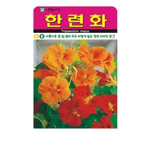 SN월드 씨앗 고급꽃씨 꽃씨앗, 고급 - 한련화(20립)