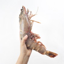 킹 블랙타이거새우 22-40cm 1미 급냉 왕새우 냉동새우 블랙타이거 킹 타이거 새우 특대 대왕새우 캠핑요리, 소 100-130g