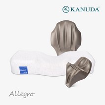 가누다베개 블루라벨 알레그로 전신케어 싱글세트(경추베개1+머리냅+허리냅), BLS3(S)