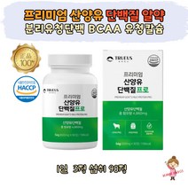 프리미엄 네덜란드산 산양유 단백질 알약 정제 간편한 섭취 식약처인증 HACCP 50대 60대 70대 여자 노인 시니어 부모님 분리유청단백 WPI 유청칼슘 필수아미노산 BCAA 류신