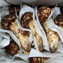 자연산 봉화송이버섯, 국내자연산 송이버섯 2등급(냉동) 500g