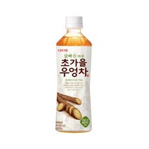 초가을 우엉차 500ml X 12개 액상차/펫음료/음료/물