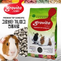 그로비타 기니피그 전용사료 1kg / 영양사료 햄스터먹이