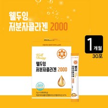 저분자 피쉬 콜라겐 펩타이드 비타민C 히알루론산 엘라스틴 복합 충전 이너뷰티 피부 장벽 수분 보호 관리 식품, 1BOX(1개월분)