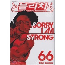 서울문화사 블리치 66