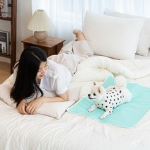 루플리 에코패드 빨아쓰는 배변패드 친환경 강아지 M 1장, 색상:아이보리