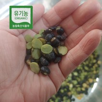 22년 유기농 홍천 햇 국산서리태 검은콩 1kg, 500g