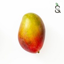 과일엔 [과일엔] 항공직송 브라질 애플망고 3-5과 2kg내, 단품없음