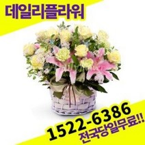 연노랑장미혼합 꽃바구니 사랑 고백 졸업식