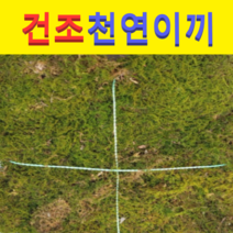(HB소망)건조 자연 생이끼(160그램)포장용이나 화분용