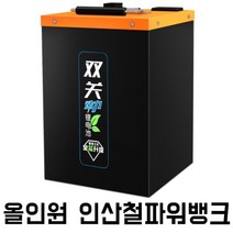 올인원 인산철파워뱅크 이륜 삼륜 대용량 특수 인산 철 배터리, 02.60V25A