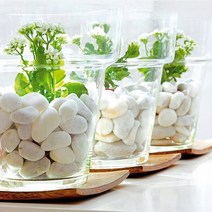 세경팜 백자갈 3kg 5kg 화분장식 어항꾸미기 정원 인테리어 조경, 백자갈8호(30~45mm), 1개