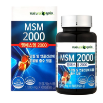 MSM 2000, 1병, 1개