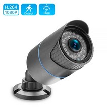 가게CCTV 강아지 홈캠 홈 실외 현관 문 농막 CCTV 1080P 보안 POE IP 카메라 금속 네트워크 비디오 감시 30M IR 야간 방수 야외 2MP 캠, 48V POE 1080P_8mm