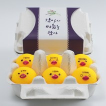 볼빅 계란골프공 선물 6구 비비드 컬러볼 2피스 3피스, 감사의마음을담아, 3피스_New비비드_옐로우_햇병아리1