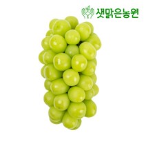 상주 샛맑은농원 산지직송 GAP인증 샤인머스켓, 샤인 2KG 4송이