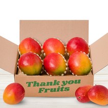 프리미엄 고당도 애플망고 (2KG 내외 5~7입/로얄과), 1박스