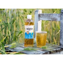 웅진 하늘보리, 보리맛, 325ml, 20개