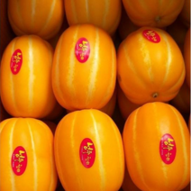 프리미엄 성주참외 못난이참외 실중량 10kg 5kg 3kg 10키로 성주원예농협, 2kg, 최상품 대과(5개~6개)