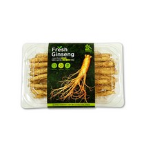 세척 수삼 인삼 고려인삼 생인삼 삼계탕 꿀절임