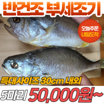 [당일출고] 반건조 부세조기 5마리 특대사이즈 (30cm 내외) 반건조생선