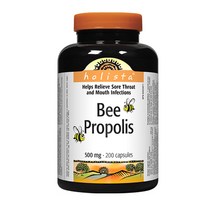 캐나다직배송 홀리스타 비 프로폴리스 500mg 200캡슐, 1개