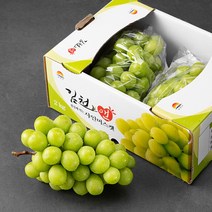 [도담] 고당도 샤인머스켓 (특)프리미엄 품질 망고포도 4kg 5수