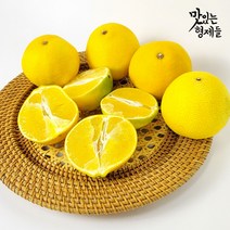 맛있는형제들 제주 황금향 카라향 하우스 감귤 밀감 노지 가정용 선물용 선물세트 2kg 3kg 5kg, 선물용 3kg 중과(10~14과)