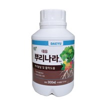 뿌리나라 식물 삽목 뿌리 발근촉진제, 1개