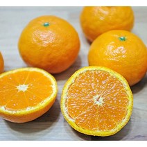 제주직송 달콤한 귤로향 카라향 2kg 3kg 5kg, 카라향 5kg벌크(45과-55과), 1개