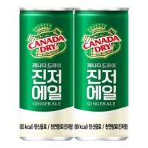 캐나다드라이 진저에일 250ml x 15캔, 15개