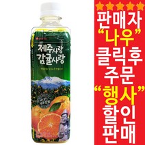 칠성)제주감귤 500ml x 24페트 믿을 수 있는 정품 정량, 쿠팡 1