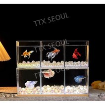 3자어항 일체형 스마트 식물 수조 축양장 수족관 물고기, 2칸 + 펄 코랄 장식