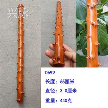 나무막대기 레몬나무 도트 악세사리 완상 우드 가지고 놀다 몽둥이글 노는 목 수완가 기프트 4308441418, 엘로우