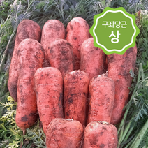 [주스용]제주 구좌당근(상) 3~10kg, 구좌당근(상) 6kg