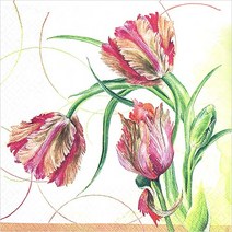 파스텔크래프트 HOME FASHION 냅킨아트 211717 Parrot Tulip 냅킨20매 33x33cm 0258, 20매입, 혼합색상