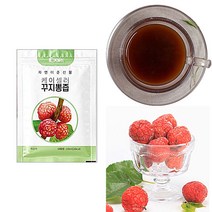 YJ 무농약 친환경 구찌뽕즙 꾸찌뽕즙 구지뽕나무 효소 꾸지뽕즙 마카분말 100mlx60포