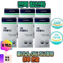 그린 프로폴리스 프로폴리스추출물 그린프로폴리스 초록프로폴리스 브라질 플라보노이드 면역 영양제 건조효모 사은품증정, 6개, 60캡슐